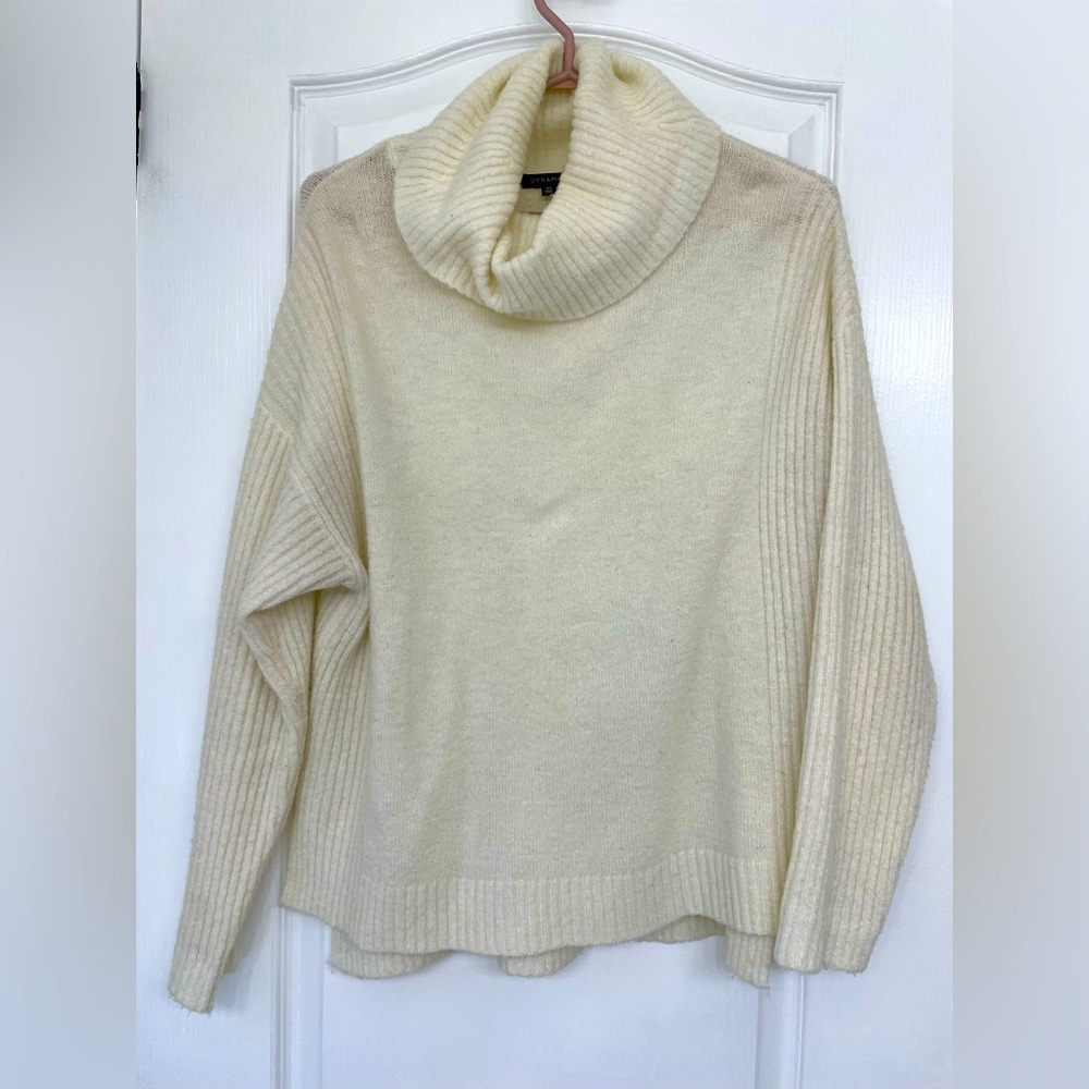 Dynamite Turtleneck Sweater